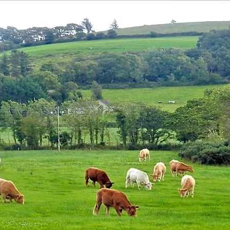 Bed & Breakfast Leabrook House