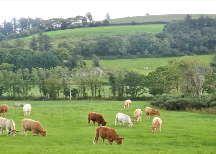 Bed & Breakfast Leabrook House *